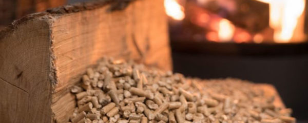 bûches de bois